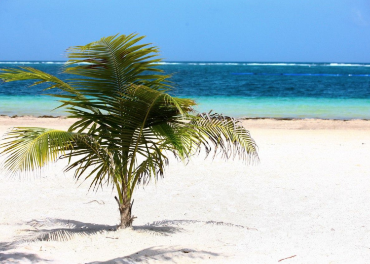 Mantiene Puerto Morelos playas limpias en espera de la reapertura