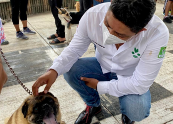 Diputado echa a andar programa de vacunación gratis para perros y gatos en municipios de SLP