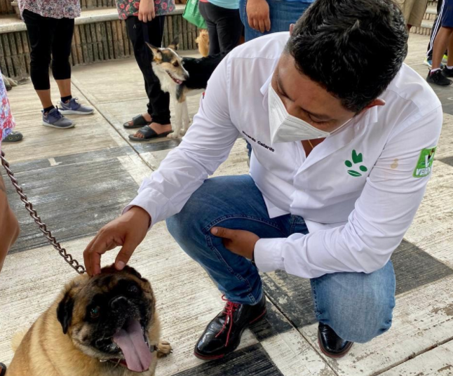 Diputado echa a andar programa de vacunación gratis para perros y gatos en municipios de SLP