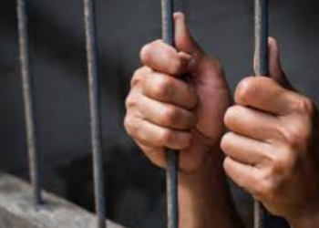 Detienen a feminicida en Irapuato