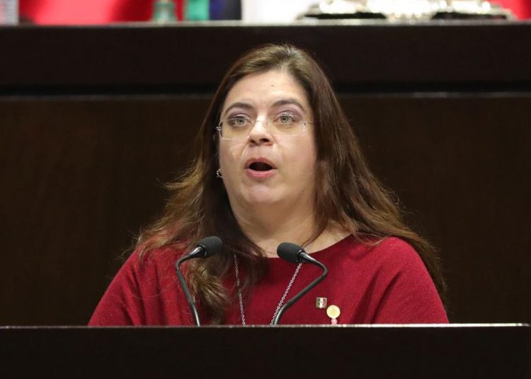 Hortensia Noroña, pide se eliminen las mayorías artificiales