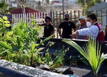 Colonia cumbres rescate de espacios publicos