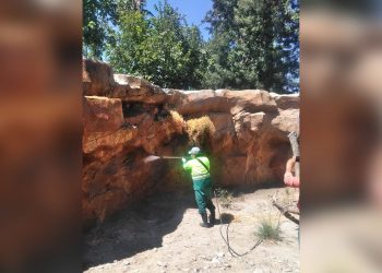 Ayuntamiento de Tijuana limpia hábitats de fauna en zoológico de parque morelos