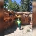 Ayuntamiento de Tijuana limpia hábitats de fauna en zoológico de parque morelos