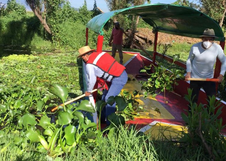 Arranca en Xochimilco mega limpieza de canales
