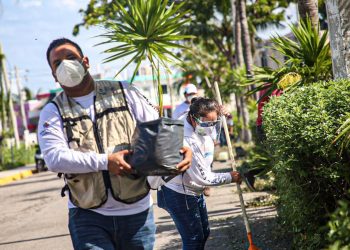 El ayuntamiento de Isla mujeres realizo reforestación en algunas zonas