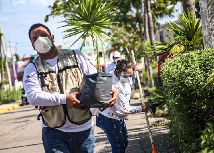 El ayuntamiento de Isla mujeres realizo reforestación en algunas zonas