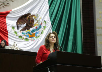 Ana Lilia Herrera pide pelear por el fondo metropolitano