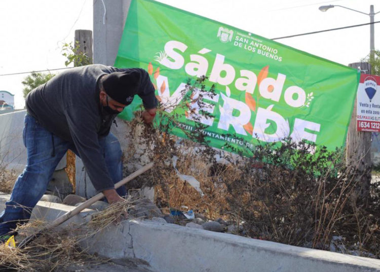 Ayuntamiento recoge basura en jornada de Sábado Verde