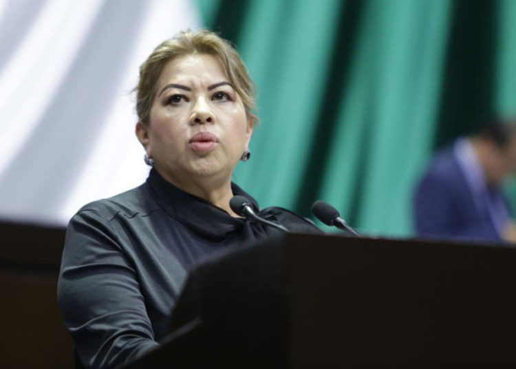 Guadalupe-Almaguer-INE-Morena