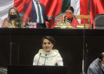 Dolores-Padierna-Economia-Mexicana-Finanzas-Crisis