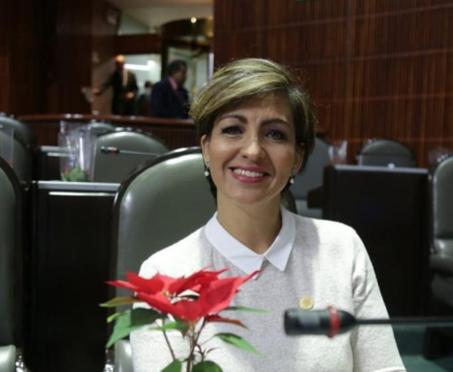 Reforma eléctrica favorece a la nueva mafia del poder: PRD