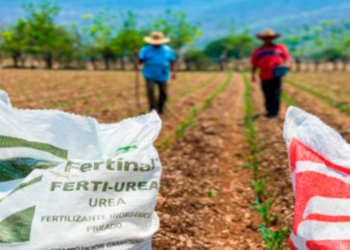 Entregan fertilizante a 27 municipios de Puebla