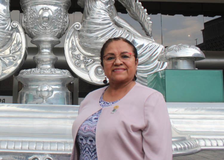 Diputada de Morena se registra para tres cargos, incluida la alcaldía