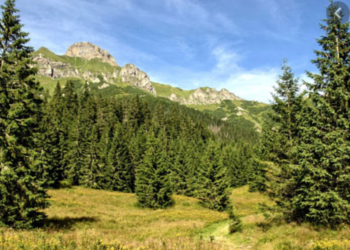 Edomex llama a municipios a estrechar colaboración ante temporada de estiaje