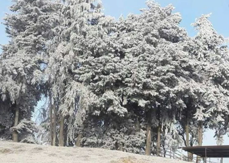 En alerta, municipios del norte del país ante las bajas temperaturas