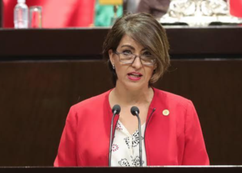 PRD exige la comparecencia de Rocío Nahle por apagones