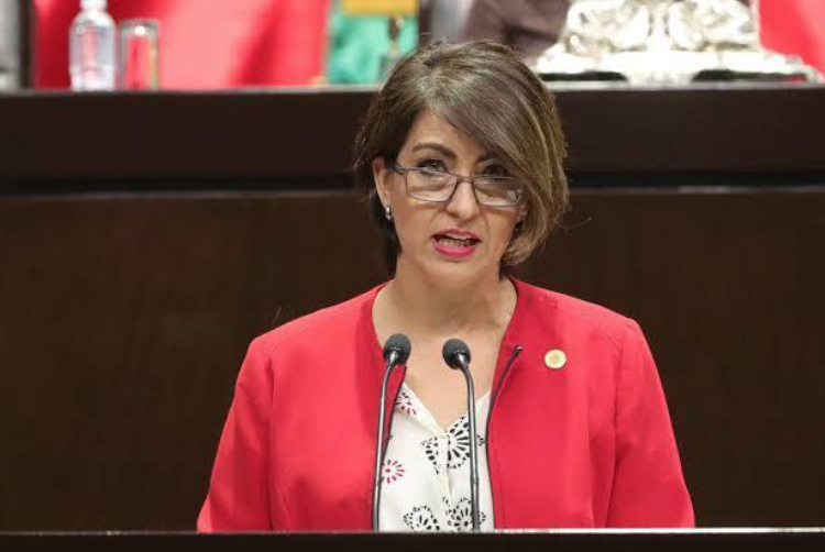 PRD exige la comparecencia de Rocío Nahle por apagones