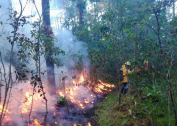Declaran en Alerta a cinco municipios de Oaxaca por incendios forestales