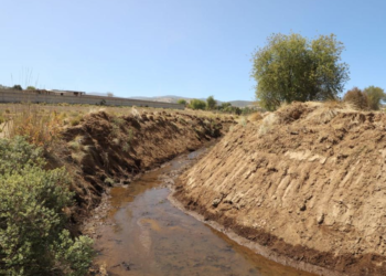 Coordinan trabajos agrícolas en San José del Rincón