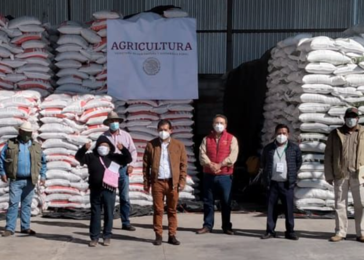 Productores de 4 municipios de Tlaxcala reciben fertilizantes