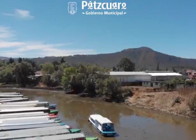 Comienza empleo temporal en el Lago de Pátzcuaro