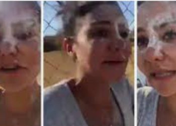 Diputada de Morena se convierte en #Lady Montajes