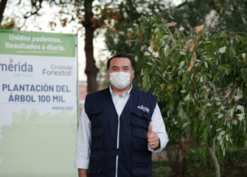Plantan 100 mil árboles en Mérida