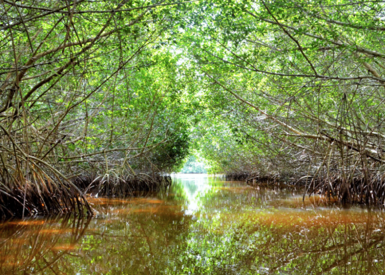Isla Aguada, nuevo Pueblo Mágico de Campeche