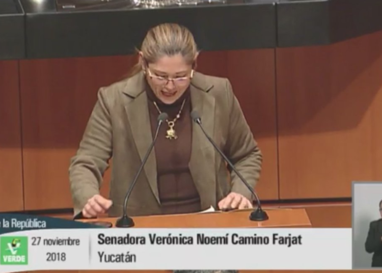 Denuncias contra Salgado Macedonio solo son ganas de fregar, dice senadora de Morena