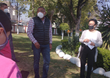 Suspenden a alcalde sustituto de Coyoacán por irregularidades