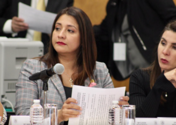 Diputada critica que ejército se quede con ganancias del Tren Maya