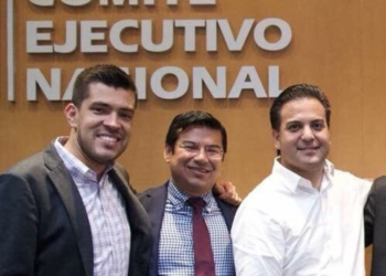 Diputada denuncia a brigadistas de Morena por proselitismo