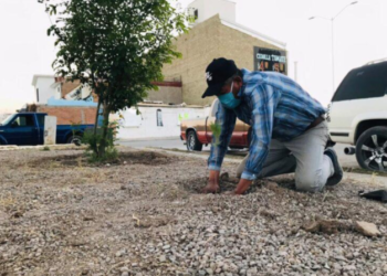 Durango impulsa reforestación del municipio