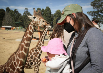 Abiertos, parques y zoológicos del Edomex en Semana Santa