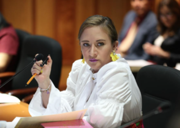 Diputada rechaza se utilice tema de feminicidios como propaganda electoral en Neza