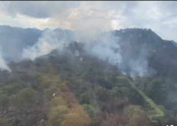 Se activa Brigada Fénix ante nuevo incendio forestal en municipio de Rayones