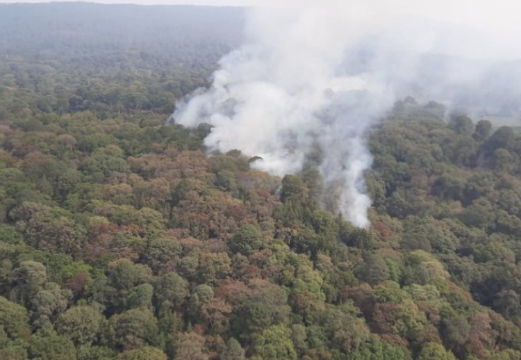 Controlado al 90% el incendio en El Tepozteco, Morelos