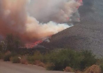 Incendio de Tamaulipas avanza a municipios de Nuevo León