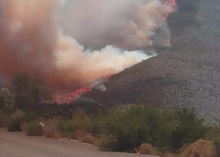 Incendio de Tamaulipas avanza a municipios de Nuevo León