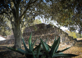 Huamango, testigo del esplendor otomí