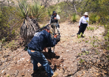 Continúa en Nochixtlán búsqueda de activista desaparecida por alcaldesa de Morena