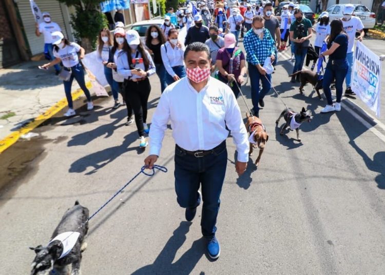 Crear un hospital para animales, política integral de Tony Rodríguez