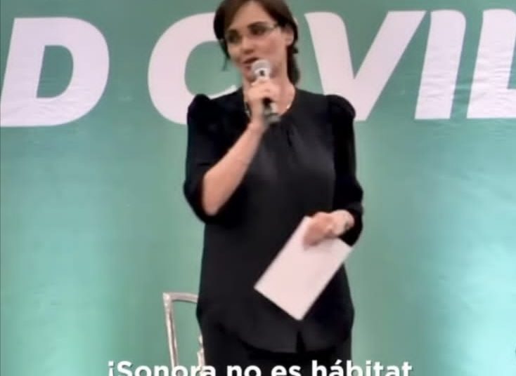 Sonora es hábitat de borregos no de pejelagartos: Lilly Téllez