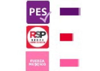 Partidos recién creados se perfilan a perder registro