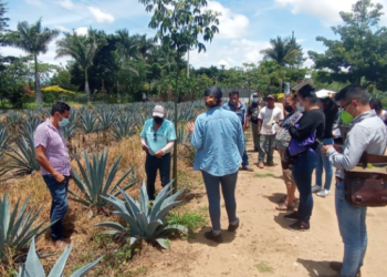 Capacitan a productores de municipios oaxaqueños