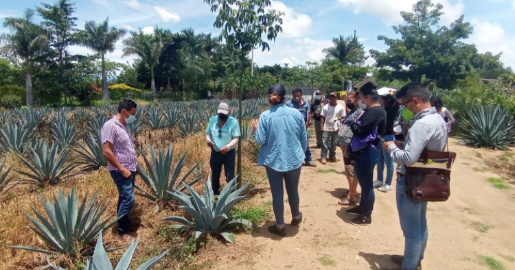 Capacitan a productores de municipios oaxaqueños