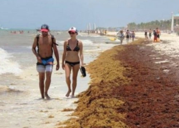 Crece presencia de sargazo en playas mexicanas