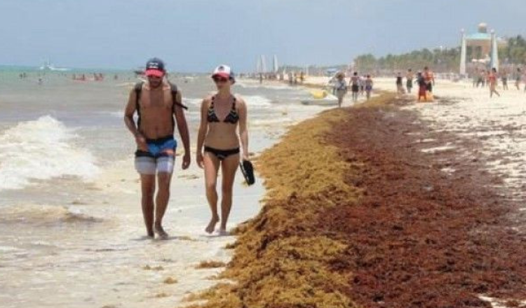 Crece presencia de sargazo en playas mexicanas