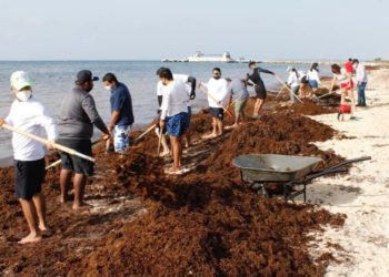 Jóvenes se suman a limpieza de sargazo en Puerto Morelos